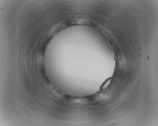 X0000081370657200701252015