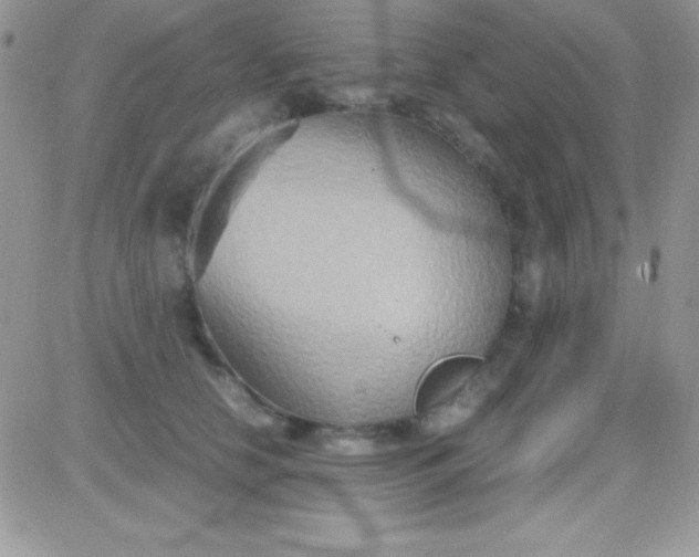 X0000081370658200701252015