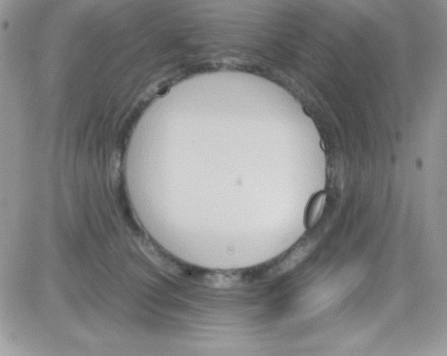 X0000081370660200701252015