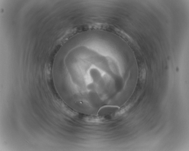 X0000081370661200701252015