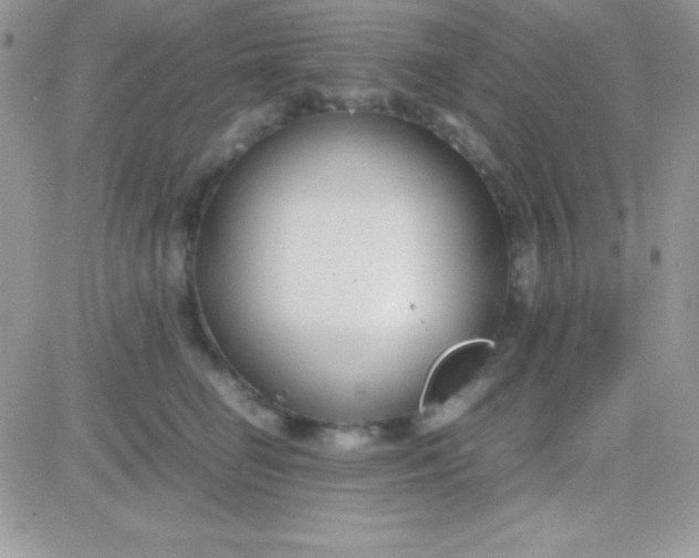 X0000081370662200701252015