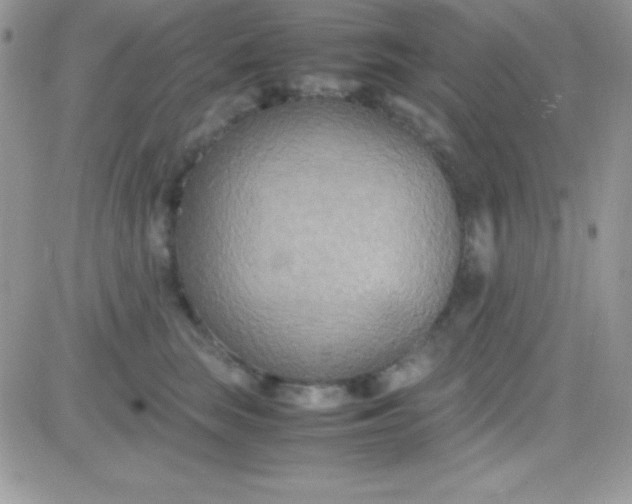 X0000081370663200701252015