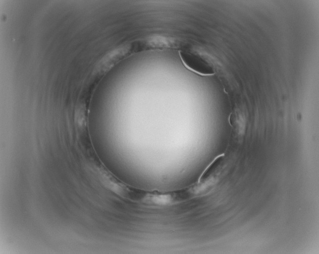 X0000081370665200701252015