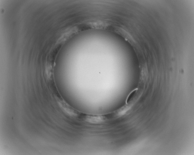 X0000081370671200701252015