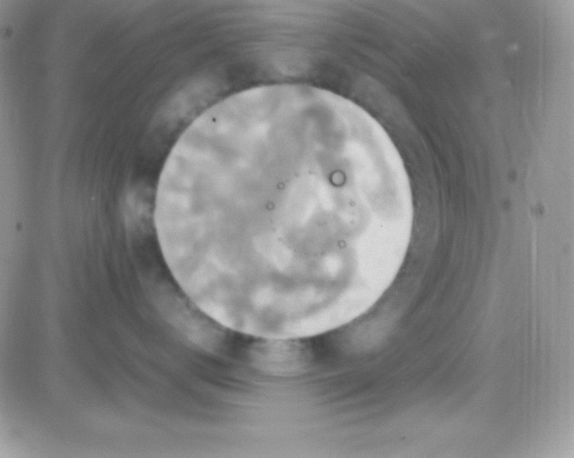 X0000081370672200701252016