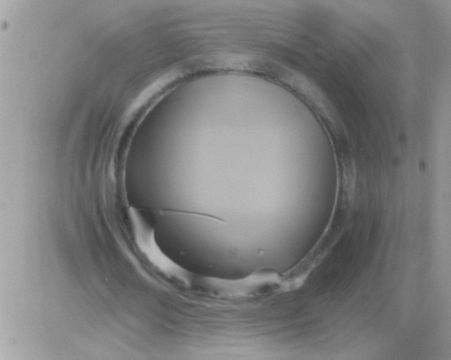 X0000081370674200701252015