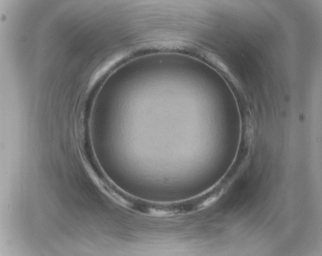 X0000081370677200701252015