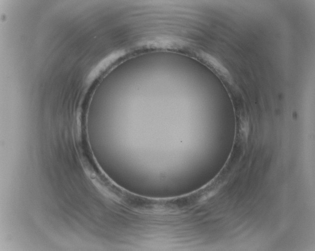 X0000081370678200701252015