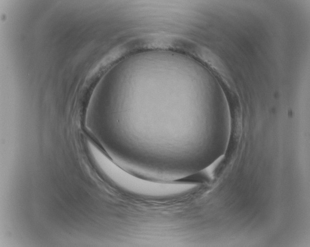 X0000081370681200701252015