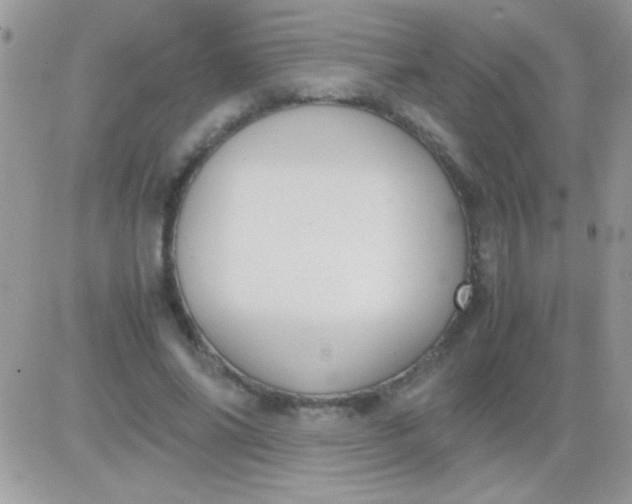 X0000081370686200701252015