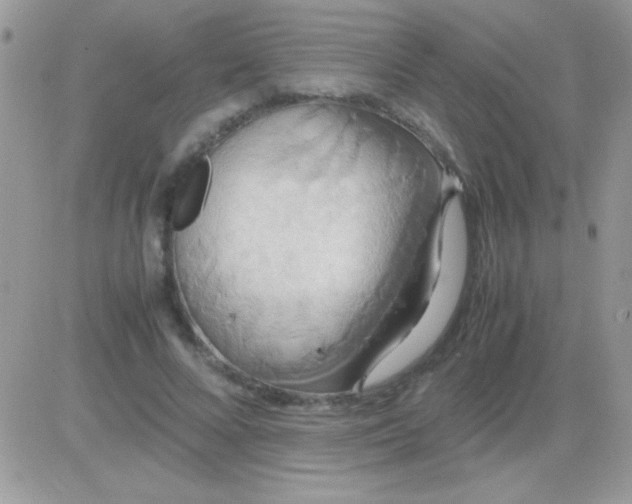 X0000081370688200701252014