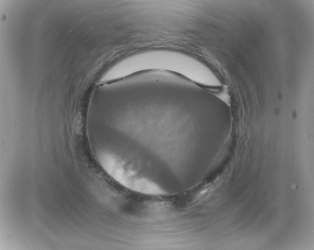 X0000081370689200701252014