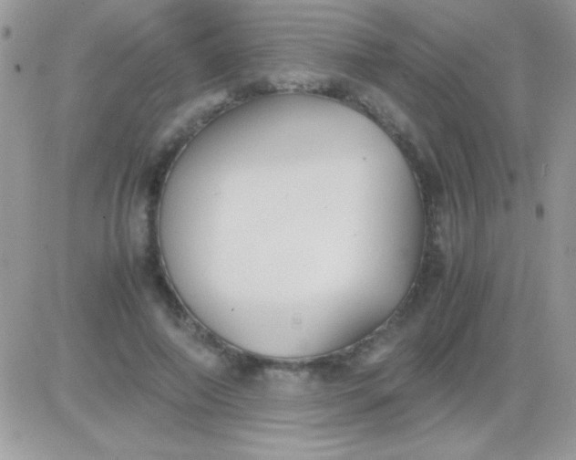 X0000081370690200701252014