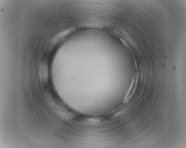 X0000081370692200701252014