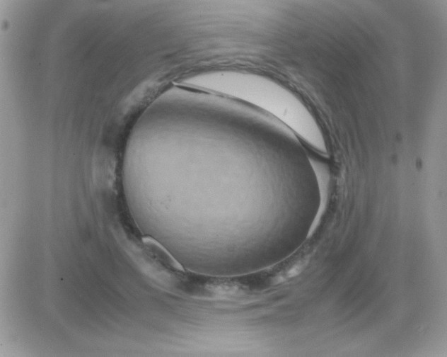 X0000081370693200701252014