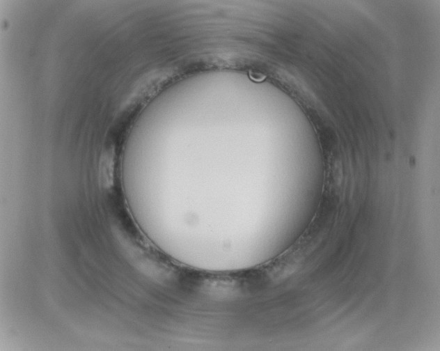 X0000081370694200701252014