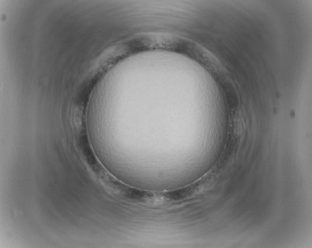 X0000081370695200701252014