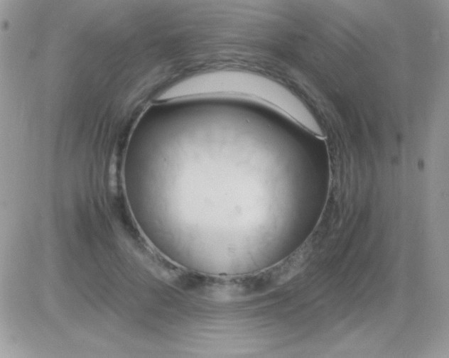 X0000081370696200701252014