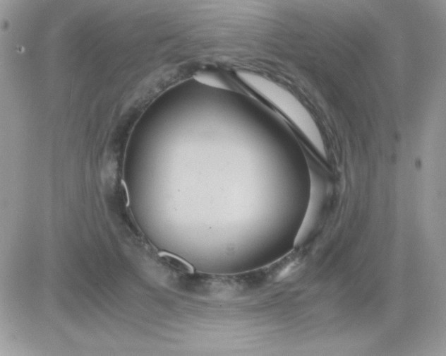 X0000081370697200701252014