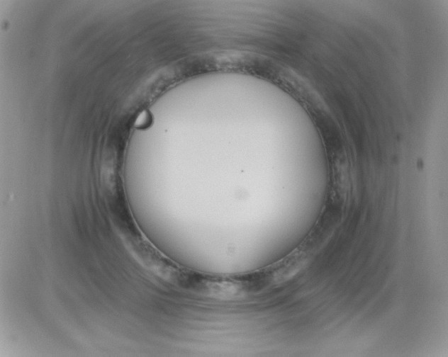 X0000081370698200701252014