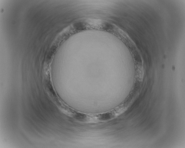 X0000081370701200701252014