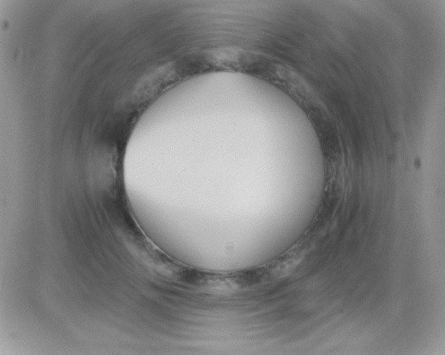 X0000081370702200701252014