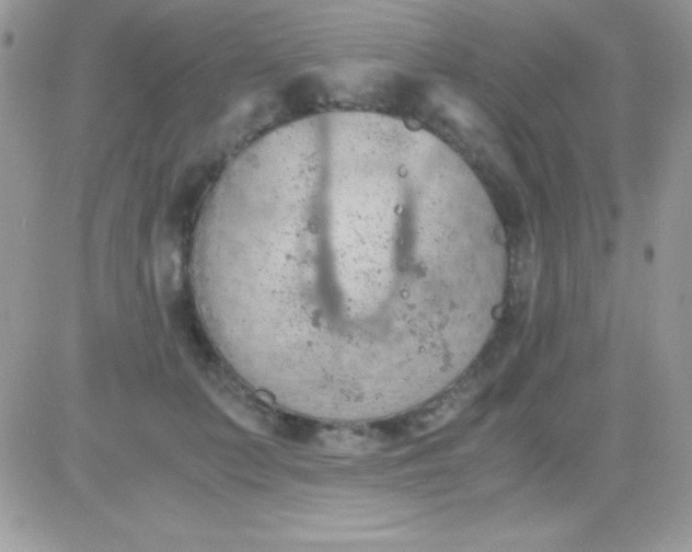 X0000081370703200701252014