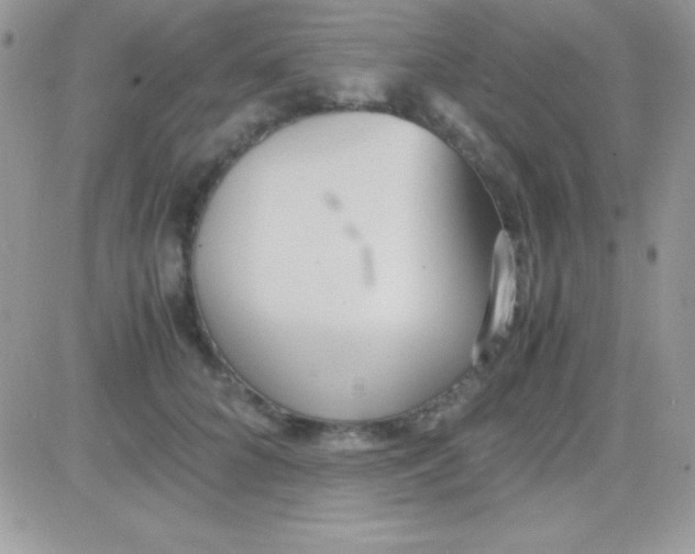 X0000081370704200701252014