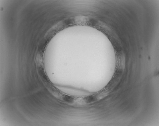 X0000081370705200701252014