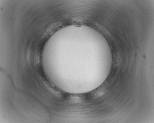 X0000081370706200701252014