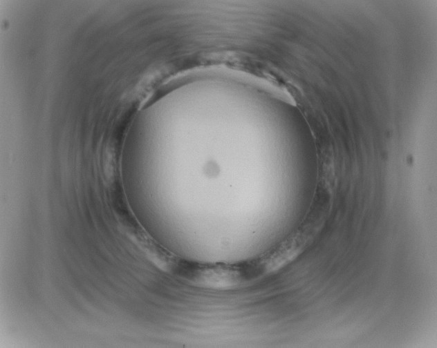 X0000081370708200701252014