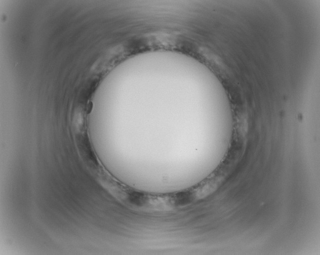 X0000081370709200701252014