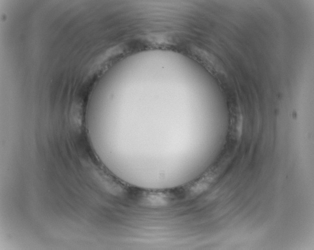 X0000081370710200701252014