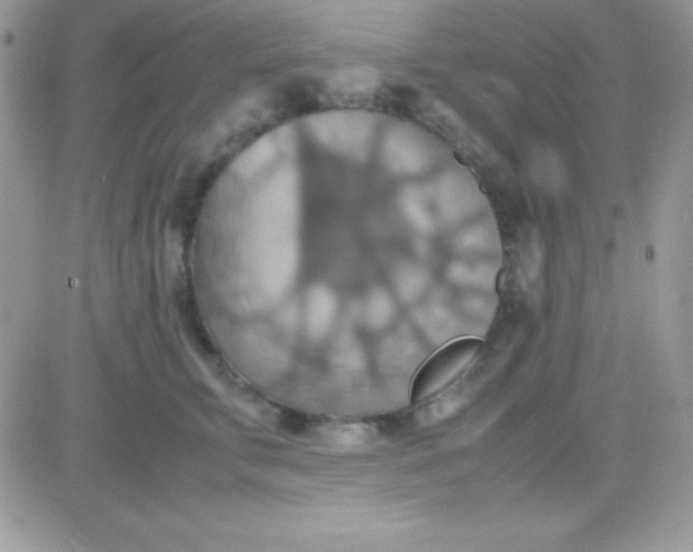 X0000081370711200701252014