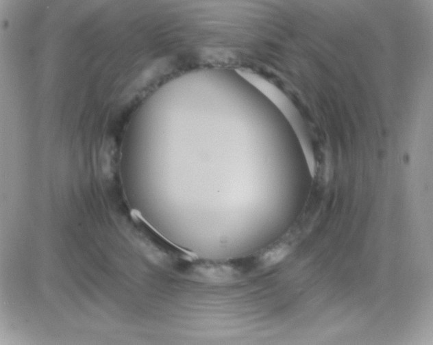 X0000081370712200701252014