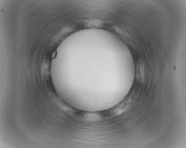 X0000081370714200701252014