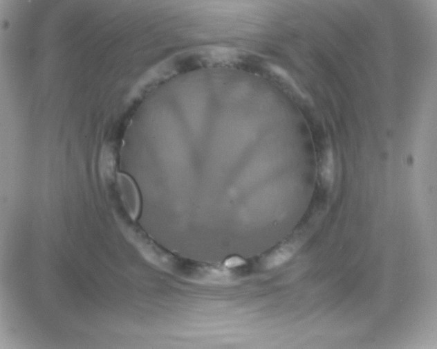 X0000081370715200701252014