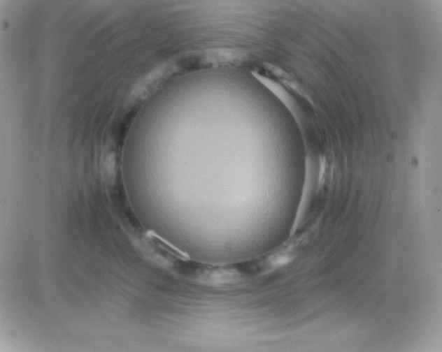 X0000081370716200701252014