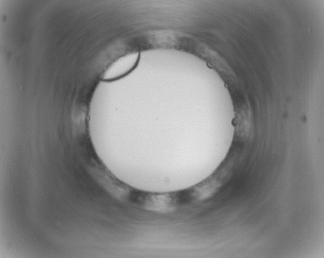 X0000081370717200701252014