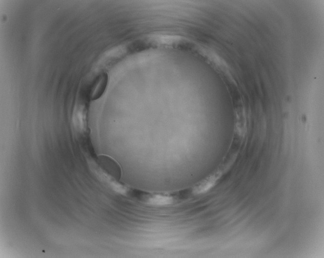 X0000081370718200701252014