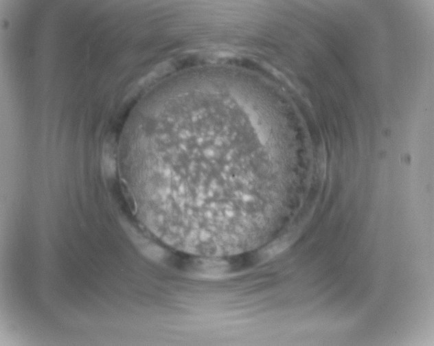 X0000081370719200701252014