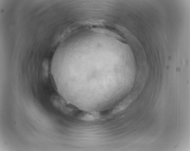 X0000081370720200701252014