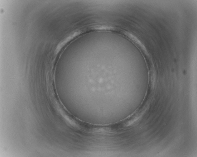 X0000081370721200701252013