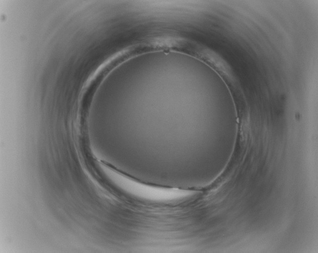 X0000081370722200701252013