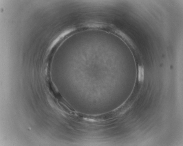 X0000081370723200701252013