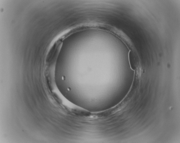 X0000081370724200701252013