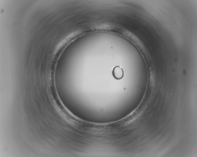 X0000081370725200701252013