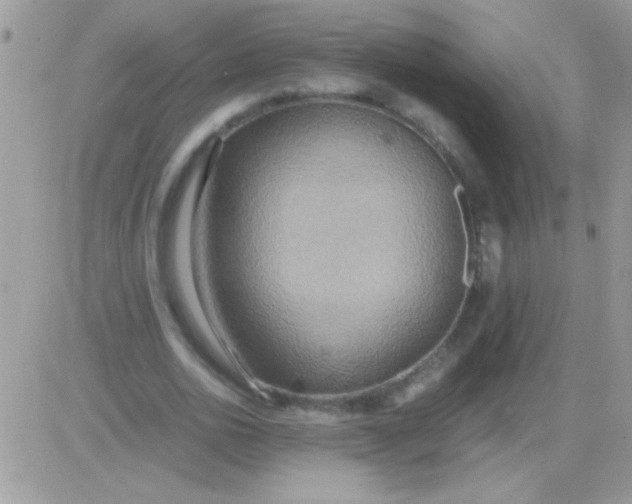 X0000081370726200701252013