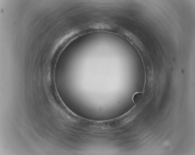 X0000081370727200701252013