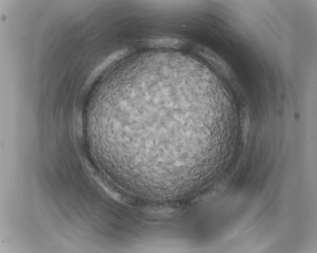 X0000081370729200701252013